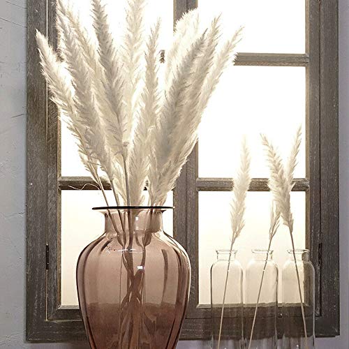 AUSUKY 15 Pcs Dried Pampas Grass Decor - White for Home Wedding Party