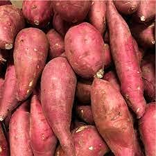Organic Elwyn Red Yam Sweet Potato Seeds - Non-GMO, Heirloom Variety for Home Garden Planting | Grow Nutritious Vegetables for Cooking, Baking & Healthy Recipes