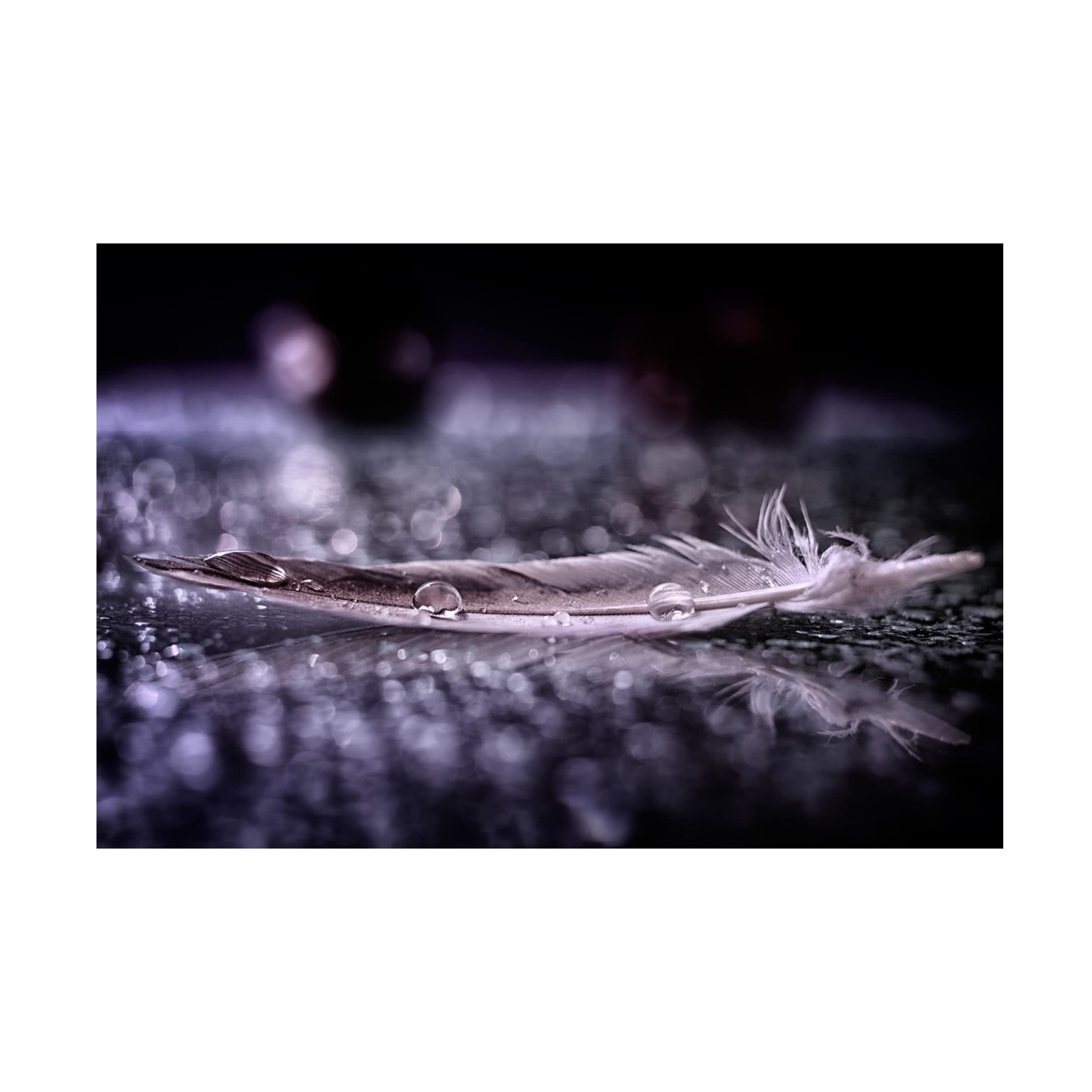 Trademark Fine Art 'Feather And Drop II' Canvas Wall Art by Alessandro Fabiano - Modern Home Decor for Living Room, Bedroom & Office