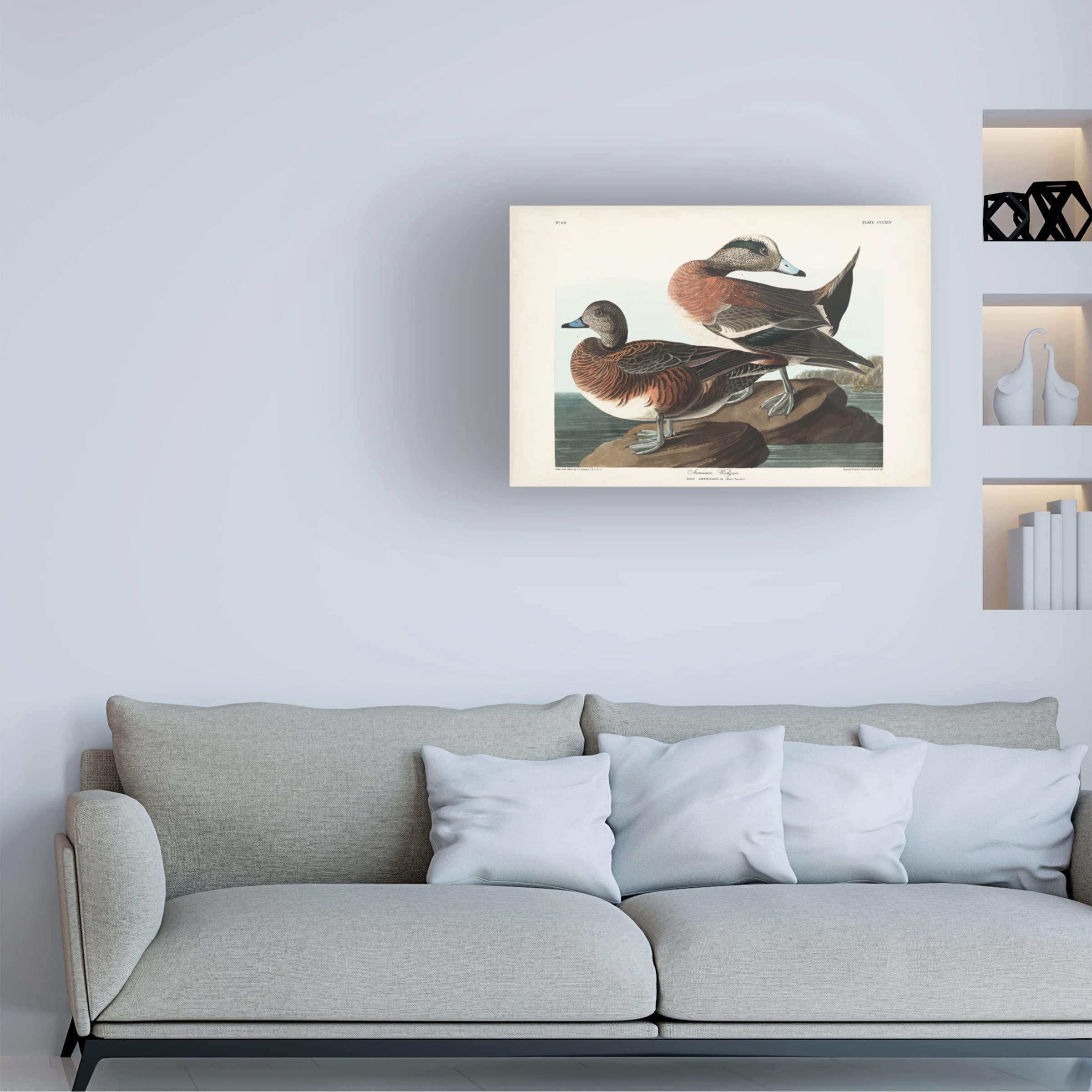 John James Audubon 'American Widgeon' Canvas Art Print 16x24 - Premium Wildlife Bird Wall Decor for Living Room, Office & Nature Lovers