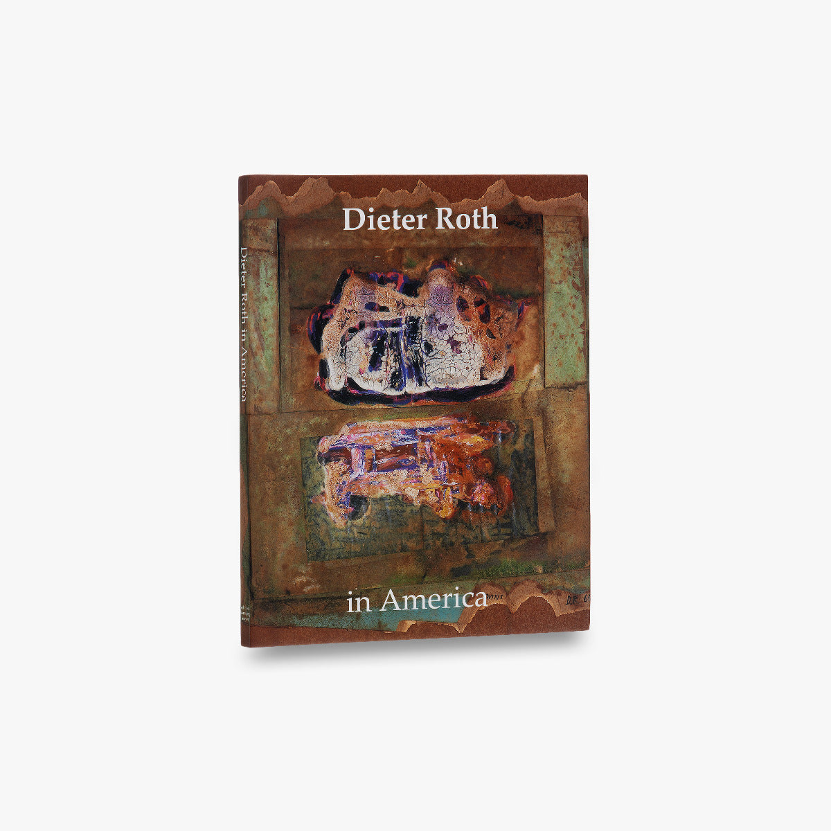 Dieter Roth in America: Art Books & Prints for Collectors - Perfect for Modern Art Enthusiasts & Home Decor
