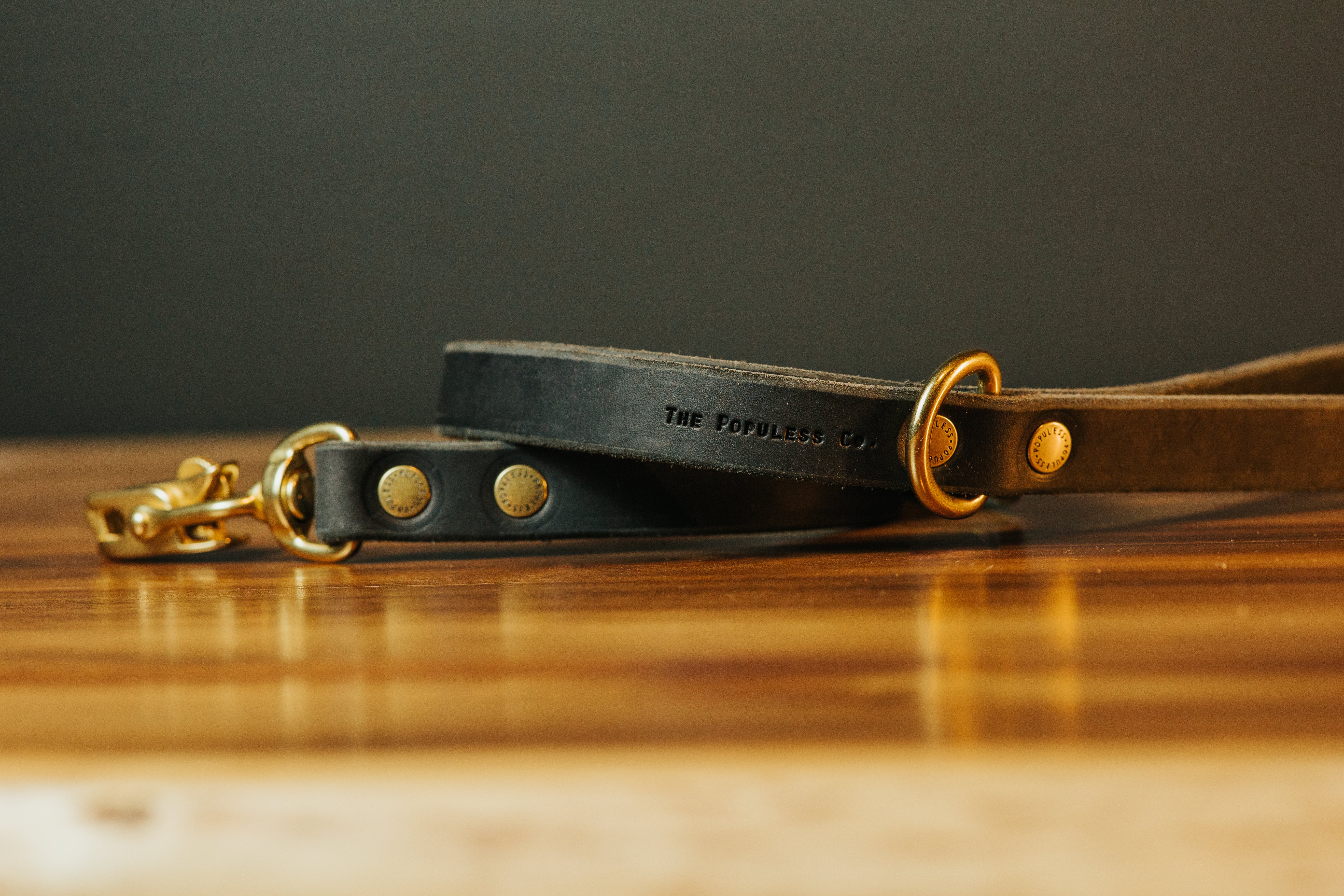 Durable The Jake Dog Leash in Black - Strong Nylon Pet Leash for Medium & Large Dogs - Perfect for Walking, Running & Outdoor Adventures