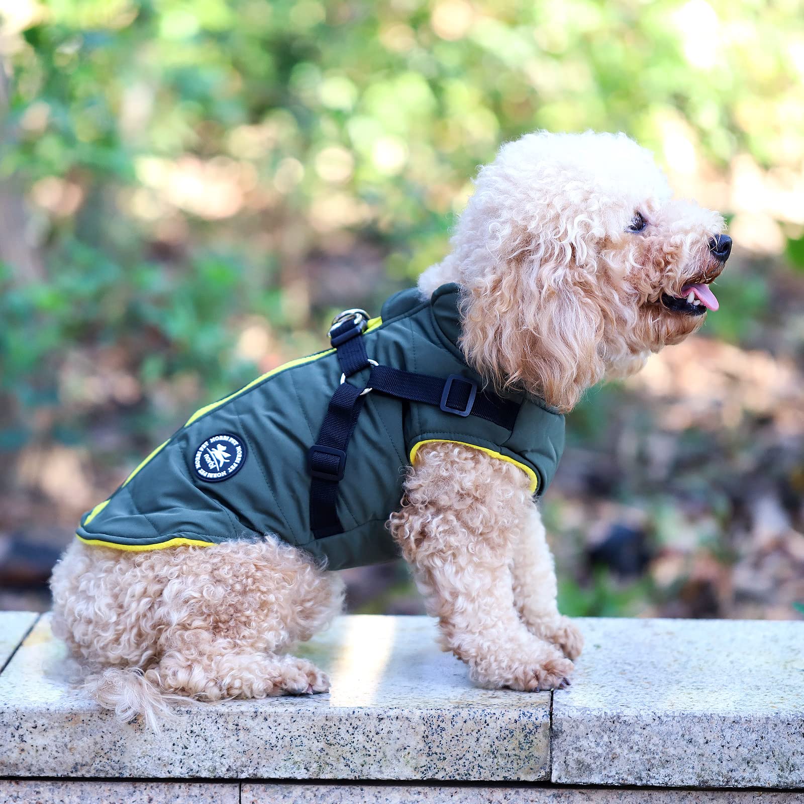 Norbi Dog Winter Coat with Built-in Harness - Adjustable Warm Jacket for Small, Medium & Large Dogs - Cold Weather Protection for Outdoor Walks & Adventures
