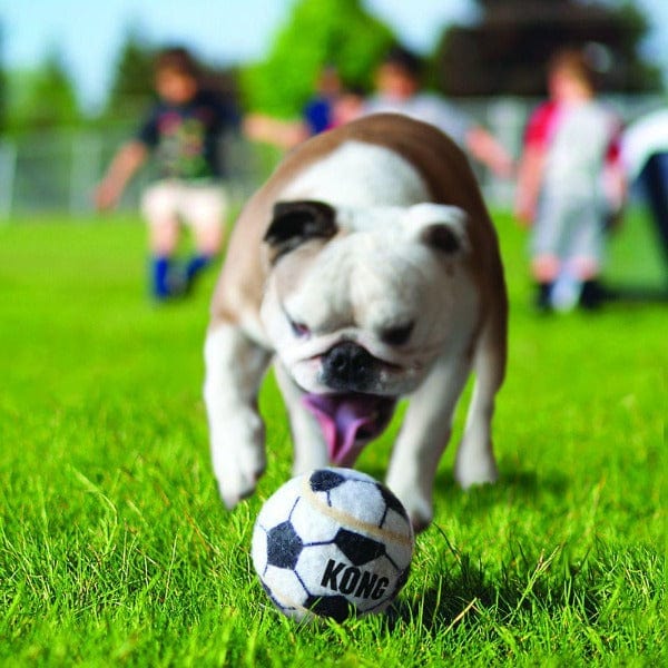 KONG Sport Balls Dog Toy - Durable Chew Toy for Medium & Large Dogs - Perfect for Fetch, Training & Outdoor Play - Best for Active Dogs & Puppies