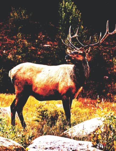 Premium Deer & Elk Themed Composition Notebook - College Ruled 8.5