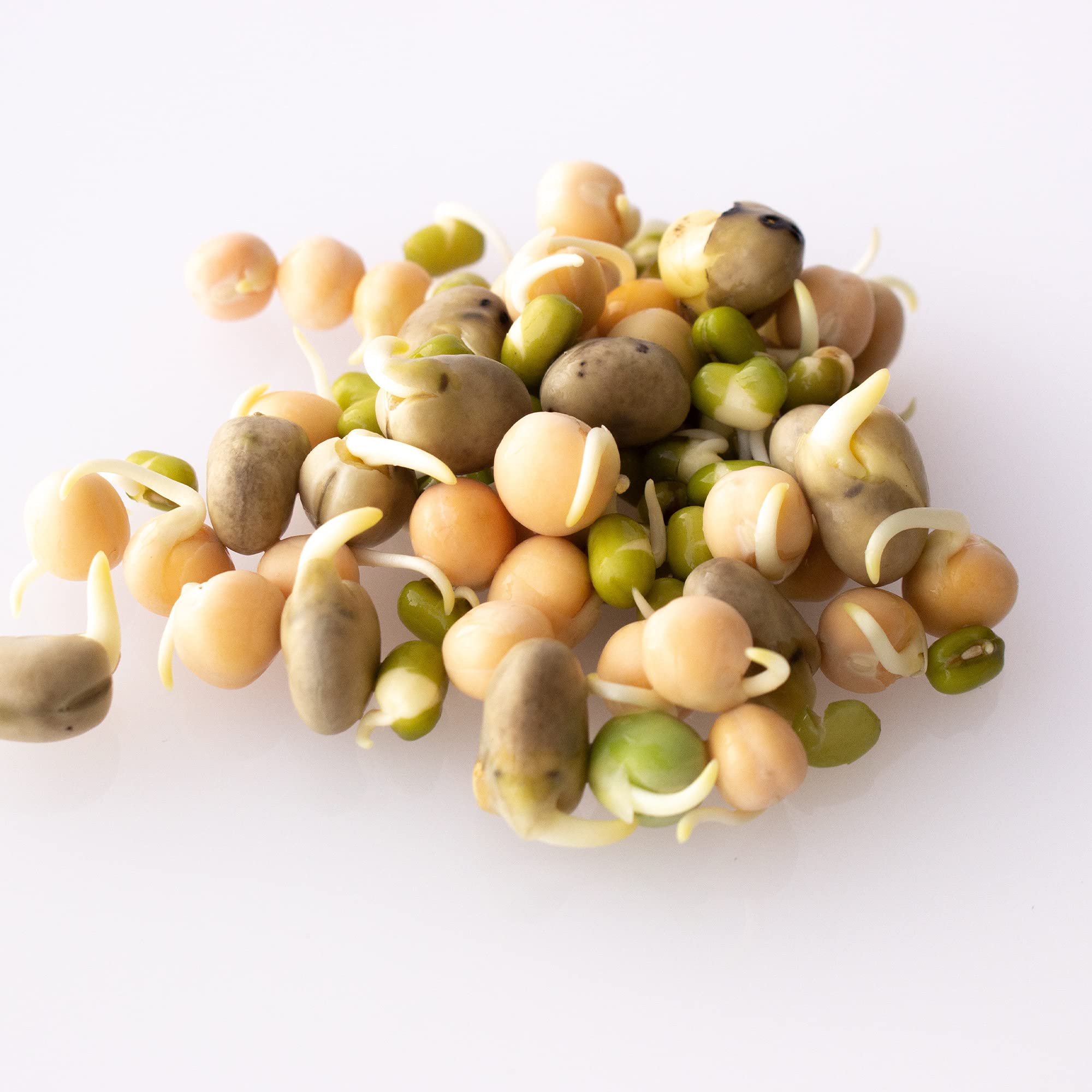 Organic Sprouting Seeds - Handy Pantry Sweet Protein Mix - 35 lb. Bulk Sealed Storage Bucket - Fava Bean, Mung Bean & Yellow Pea Seeds - High Protein Superfood for Daily Health, Emergency Food Storage & Home Gardening
