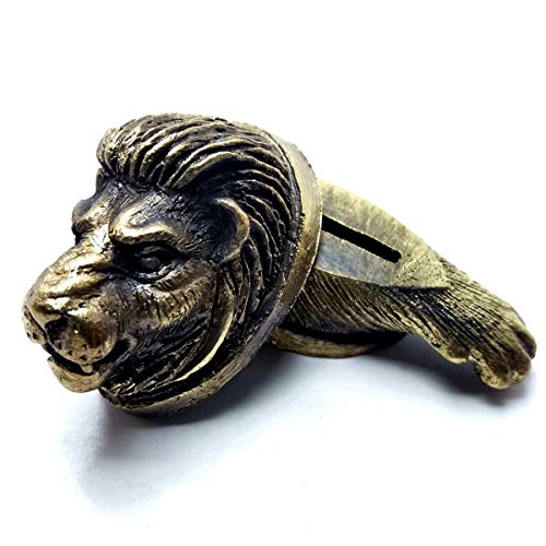 Lion paw