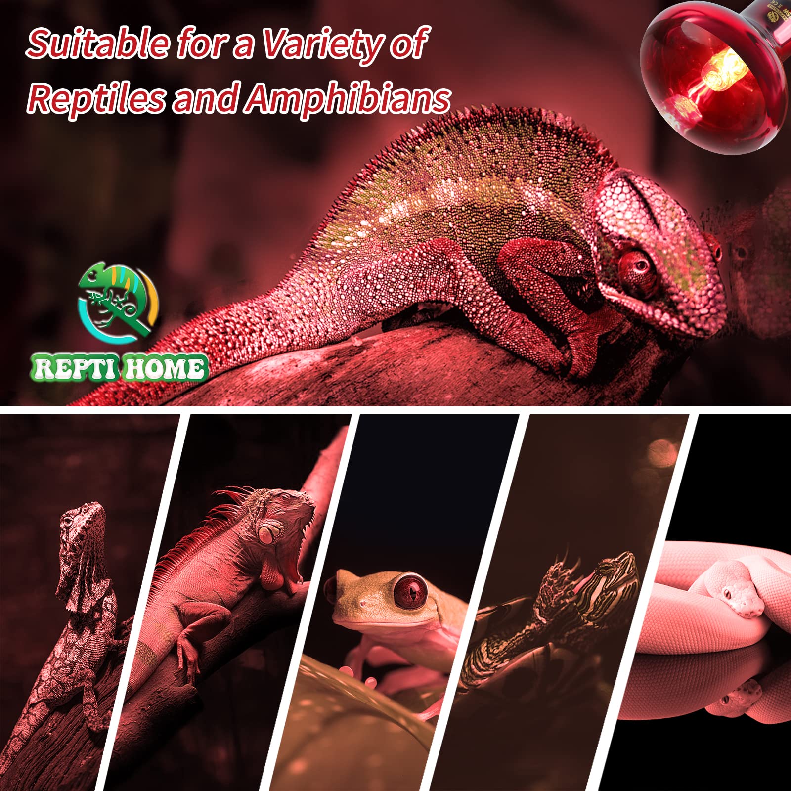 75W Infrared Reptile Heat Lamp Bulbs - 2 Pack Red Basking Spot Light for Reptiles, Amphibians & Chicken Coops - Ideal for Terrariums, Vivariums & Pet Enclosures