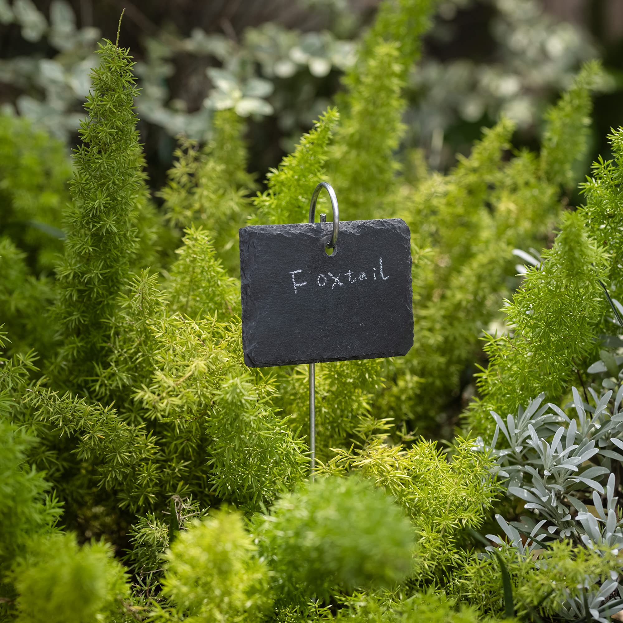 Navaris 10-Piece Slate Garden Markers with Chalk Pencils - Plant Labels for Herbs, Vegetables & Outdoor Gardening