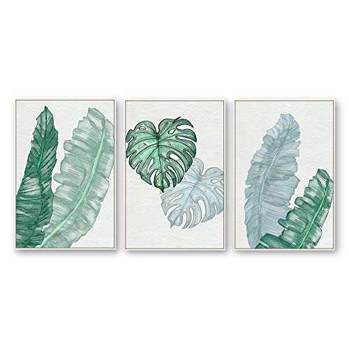 Plants-1909-n15