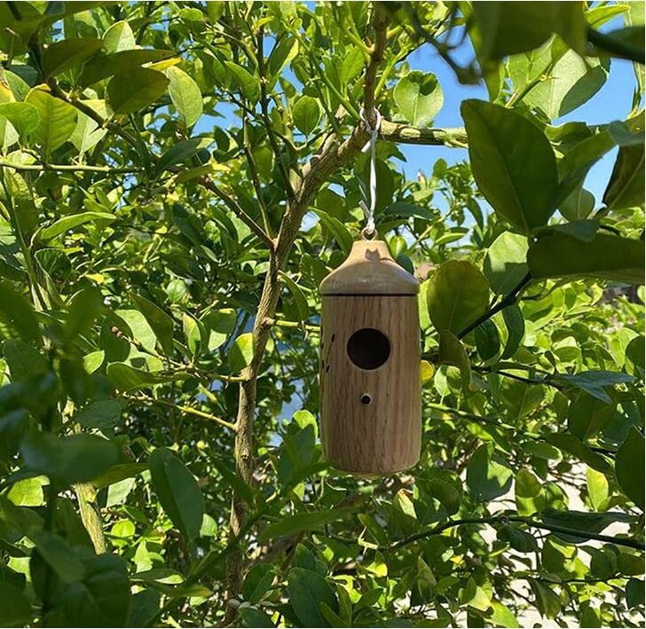 Hummingbird House - Handcrafted Wooden Hanging Birdhouse for Outdoor & Garden Decor, Attracts Hummingbirds & Small Birds (Sparrows, Swallows) - Perfect for Backyard, Patio, and Nature Lovers