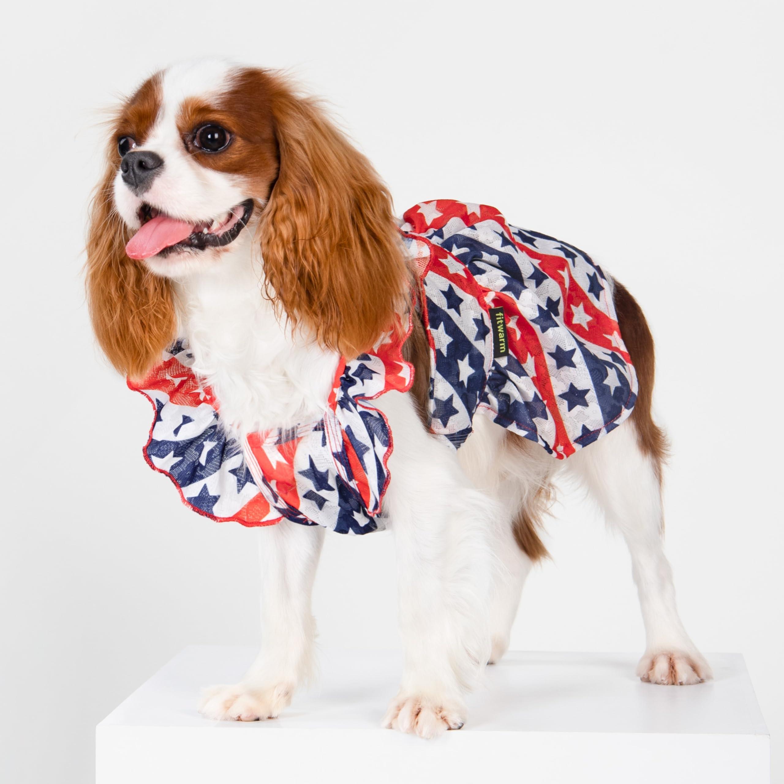 Fitwarm Patriotic Stars Dog Dress for Small Dogs - Red, White & Blue Ruffled Princess Outfit for July 4th & National Holidays | Perfect for Independence Day Parades, Pet Costume Parties & Photo Shoots