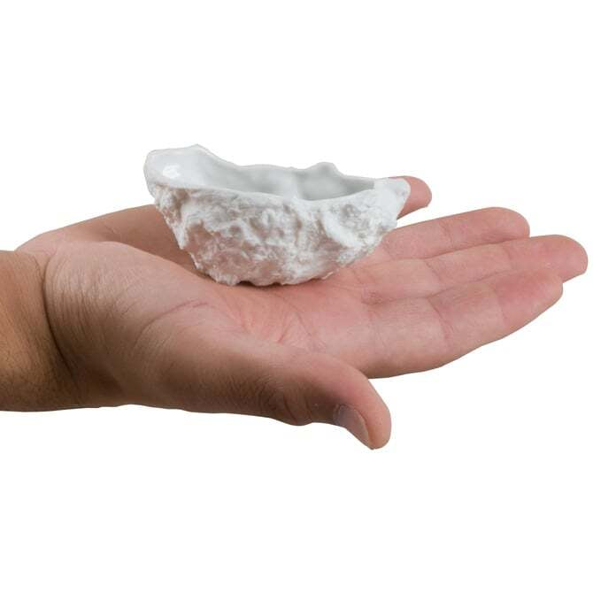 Fresh Oysters for Cooking - Premium Quality Seafood for Grilling, Steaming & Sushi | Perfect for Home Chefs & Seafood Lovers
