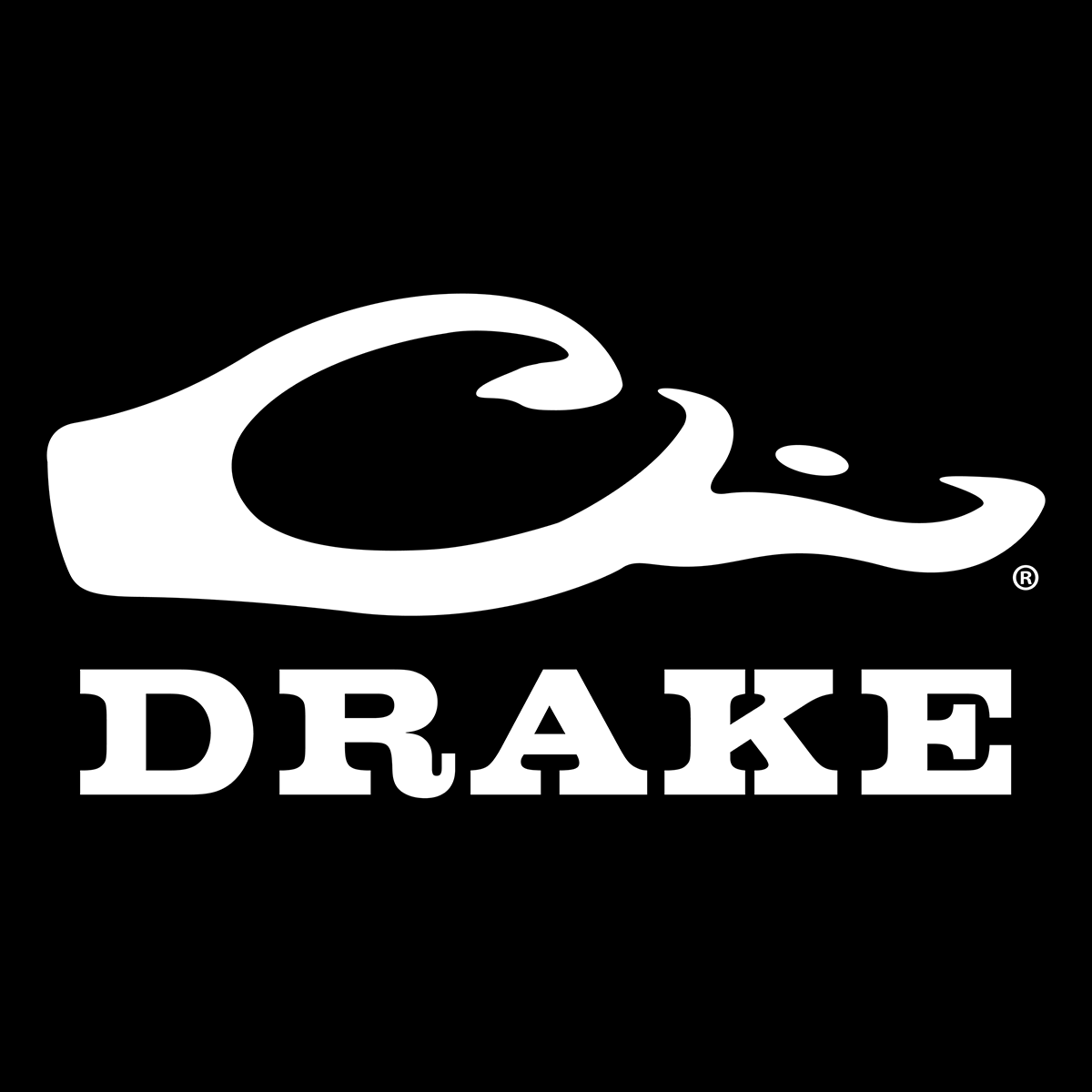 Drake Large Window Decal Sticker - Premium Vinyl Car & Home Decor - Perfect for Cars, Windows, Laptops & Gifts