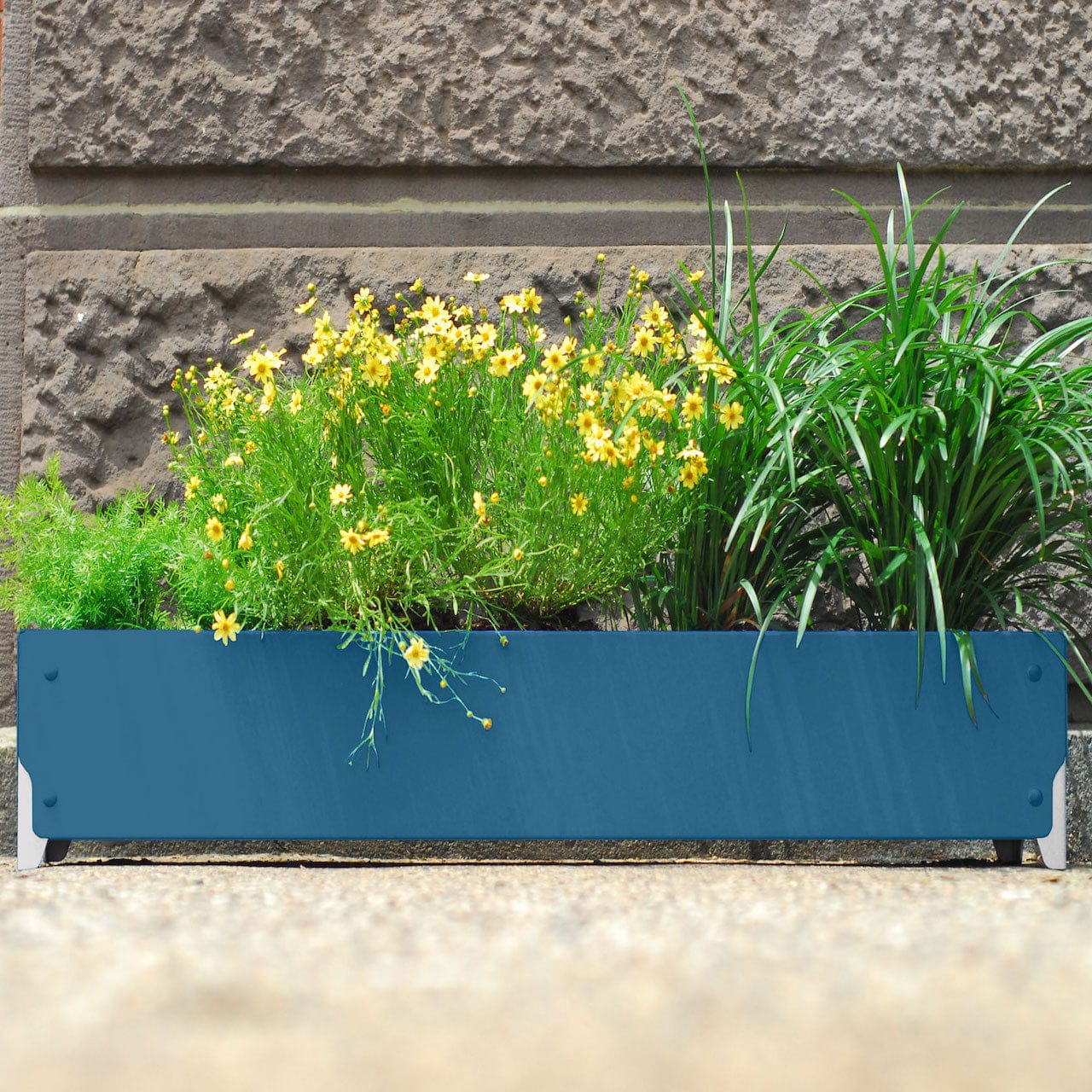 BOLTON Wide Planter Set of 4 - Large Indoor Outdoor Flower Pots for Plants, Succulents & Herbs - Perfect for Patio, Garden, Balcony & Home Decor