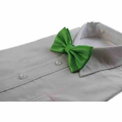 The Green Bow Tie That Stole the Show