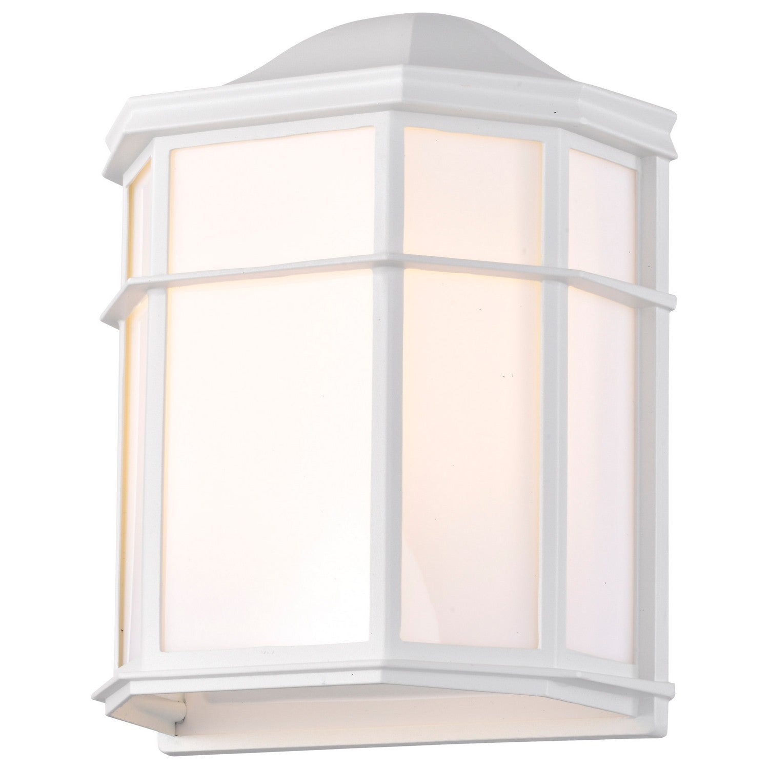 10 LED Cage Wall Lantern - 600 Lumens, 3000K Warm White Light - Outdoor/Indoor Wall Sconce for Patio, Garden, Porch & Entryway Lighting