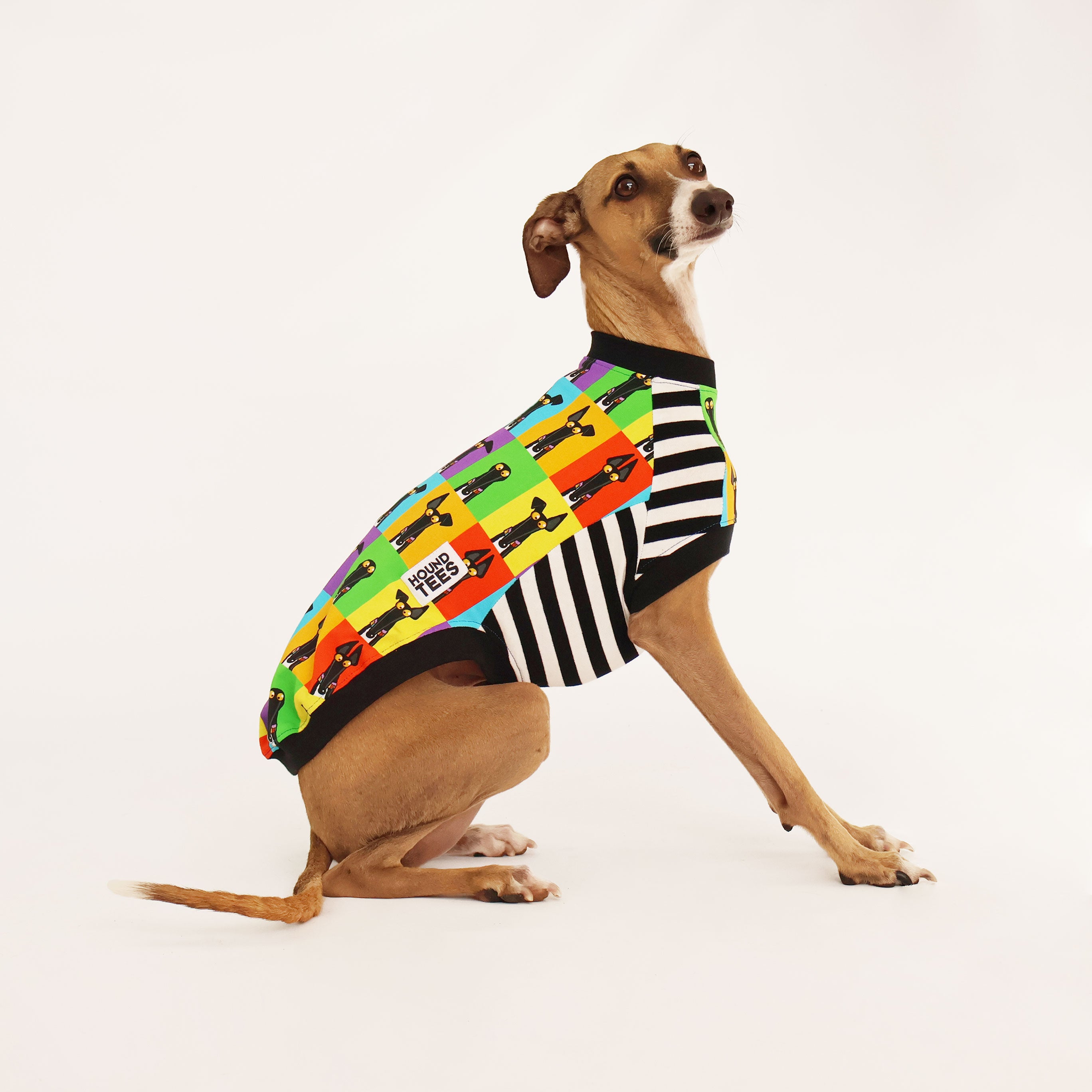 Semaphore Italian Greyhound Sleeveless Hound Tee - Vintage Dog Lover T-Shirt for Men & Women - Perfect for Casual Wear, Dog Walks, and Pet Owner Gifts