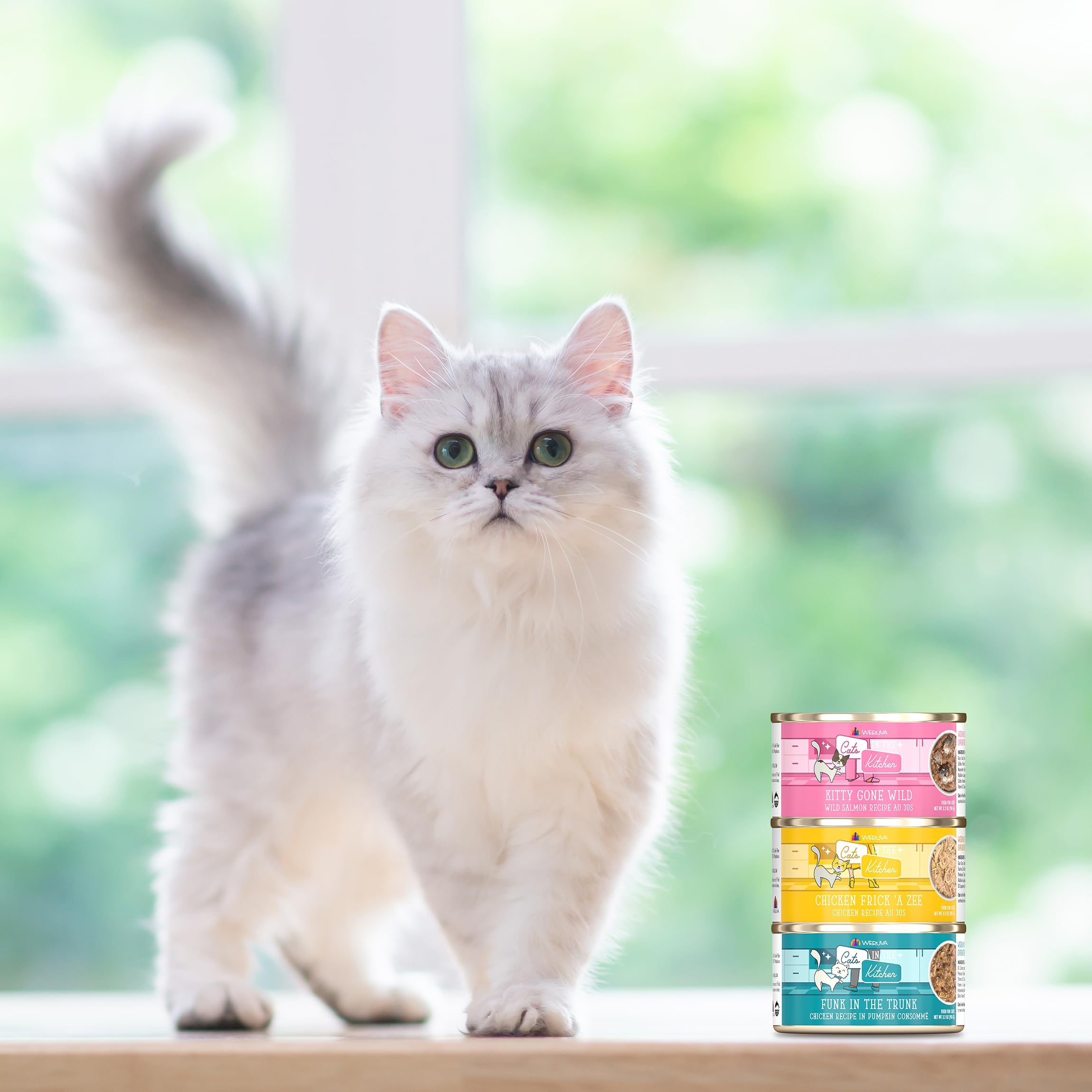 Weruva Cats in The Kitchen Splash Dance Chicken & Ocean Fish Au Jus Cat Food - Grain-Free, High Protein Wet Cat Food for Adult Cats - 6oz Cans (Pack of 24) - Perfect for Mealtime & Special Treats