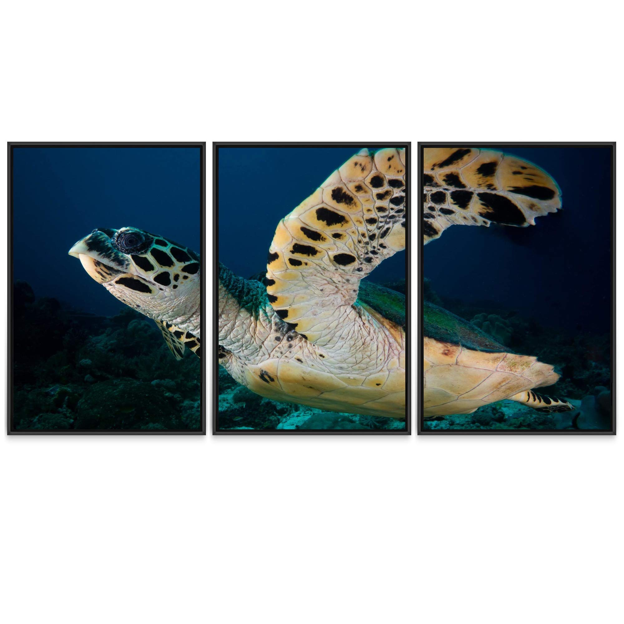 Turtle Under The Sea Framed Canvas Wall Art Set - 3 Piece Ocean Themed Home Decor for Living Room & Bedroom - 24x36 Inch Trio Panel Painting - Perfect for Beach House & Coastal Style Interior Design