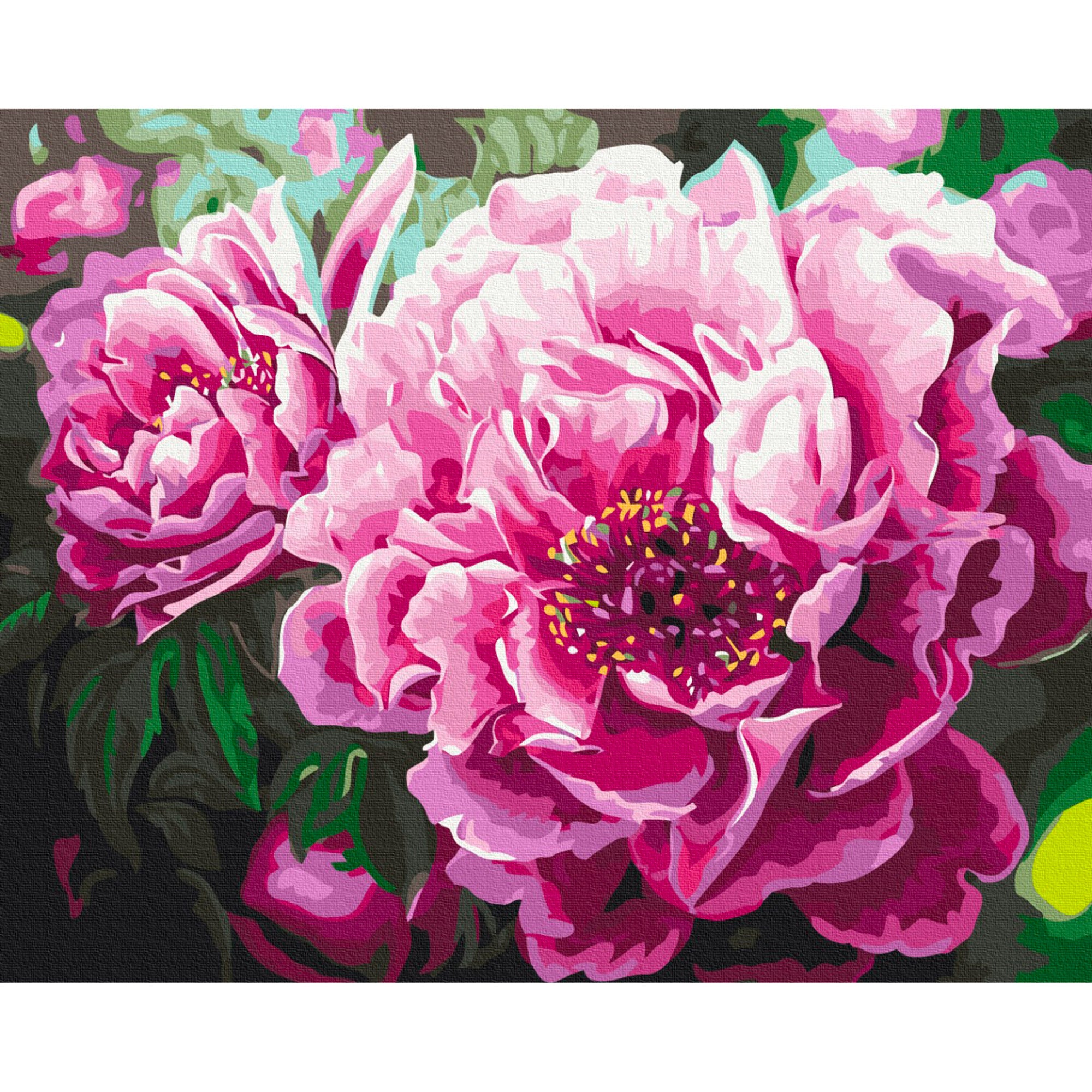 Premium Peonies Paint by Numbers Kit for Adults - DIY Oil Painting Art Set with Canvas, Brushes & Paints - Perfect for Home Decor, Relaxation & Gift Giving