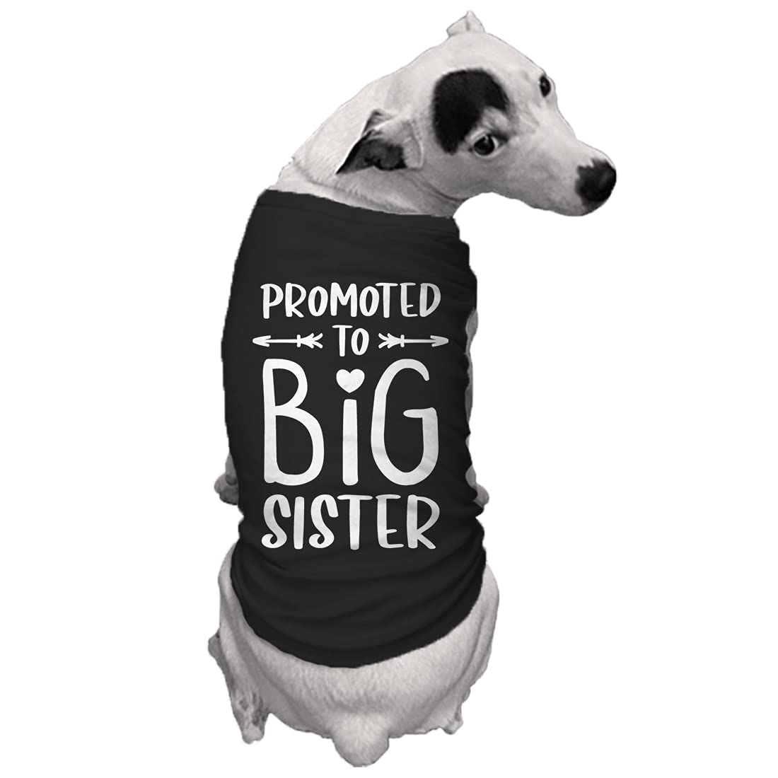 Big Sister Dog Shirt - Cute Black Pet Clothes for Medium Dogs - Perfect for Sibling Announcements & Family Photo Shoots