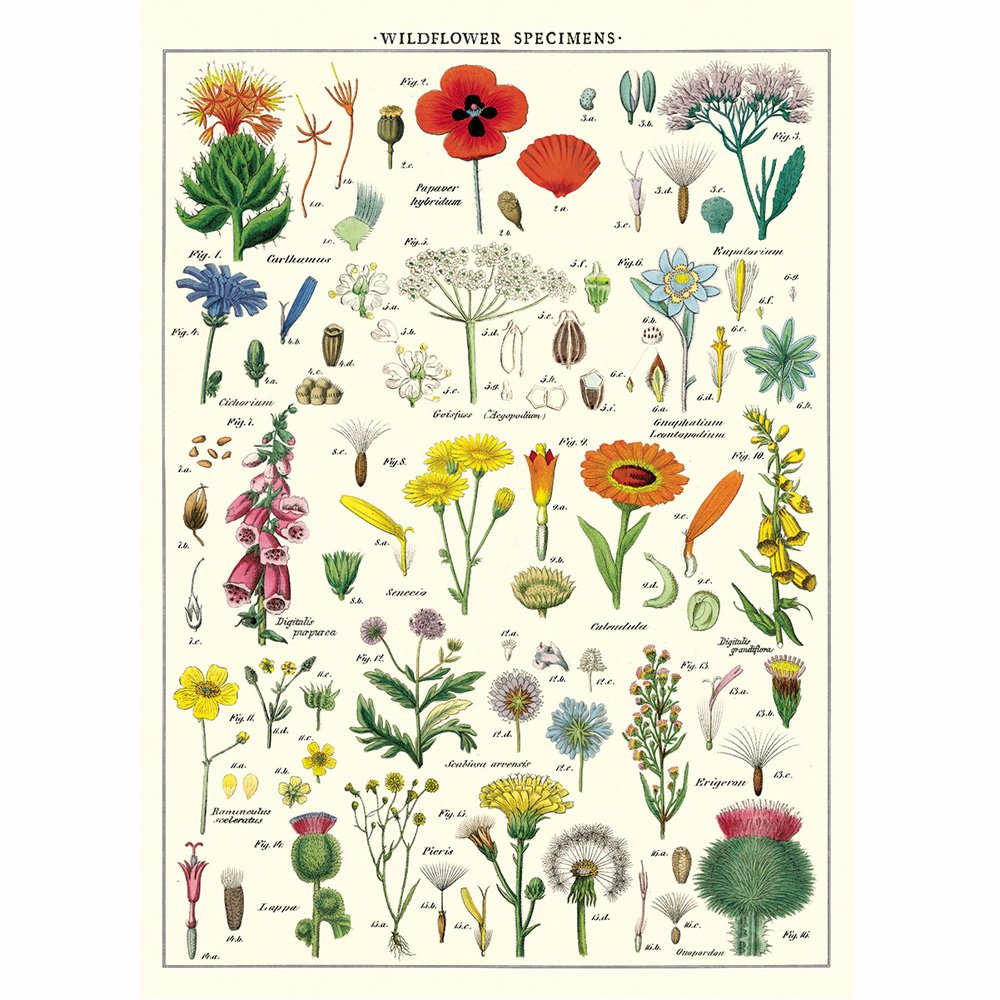 Wildflower Wrapping Paper - Floral Gift Wrap for Birthdays, Weddings & DIY Crafts | Eco-Friendly & Vibrant Designs
