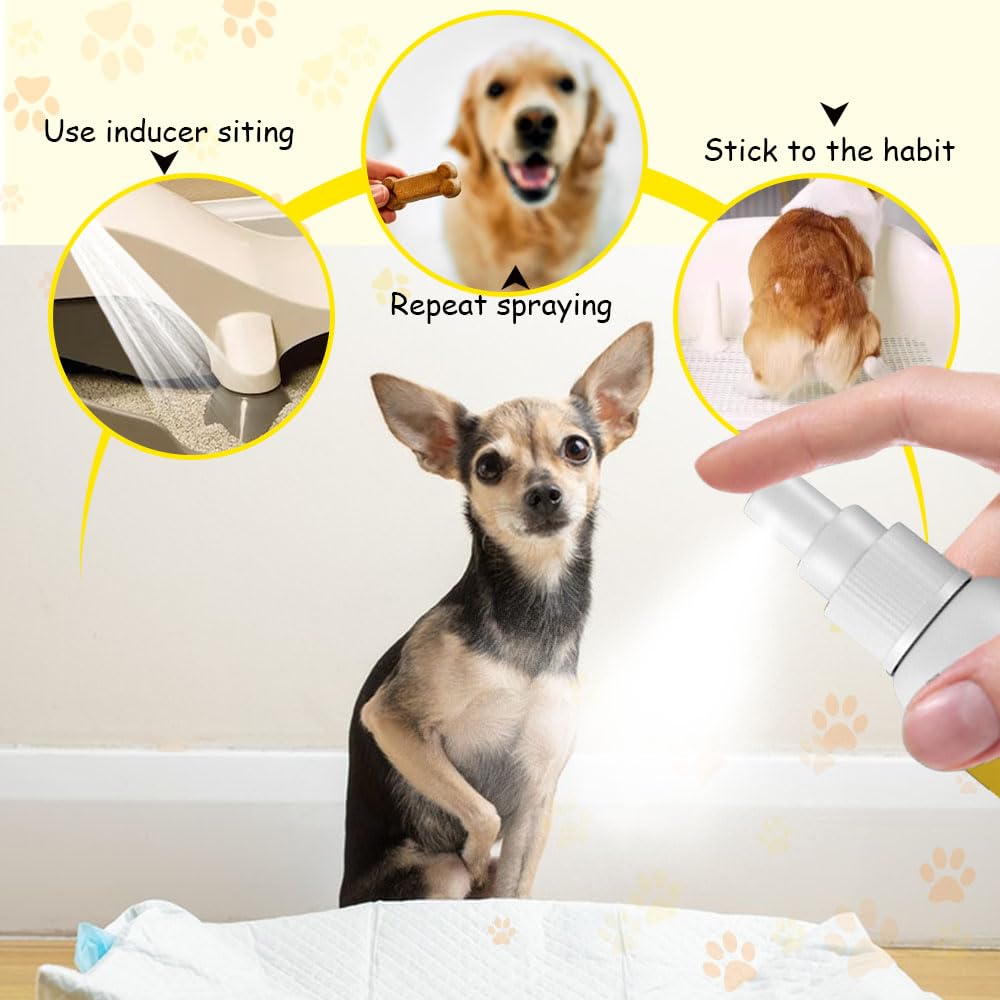 3PCS 30ML Pet Potty Training Spray - Puppy & Cat Toilet Training Aid, Indoor & Outdoor Use for Effective Housebreaking | Perfect for New Pets & Travel