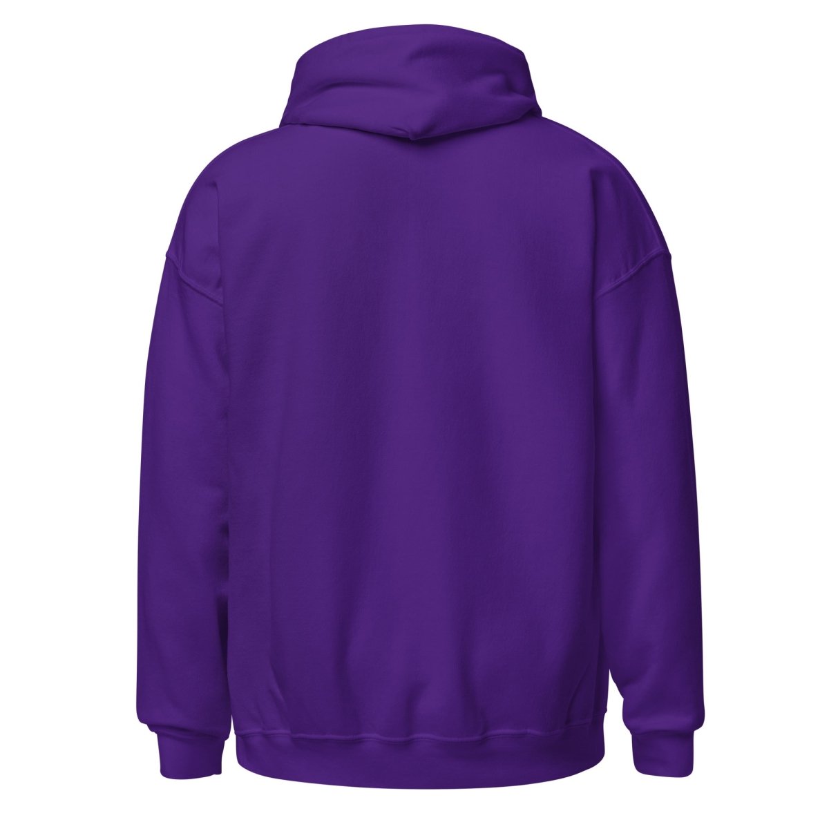 Thrive Hoodie - Out, Proud & Sober - Comfortable Unisex Pullover for Recovery & Pride Events - Perfect for AA Meetings, Pride Parades & Sober Living