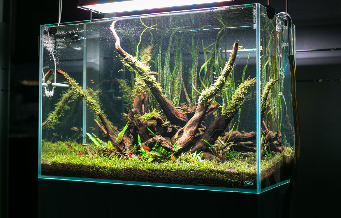 Aquario Neo Soil - Premium Planted Aquarium Substrate for Healthy Aquatic Plants | Ideal for Shrimp Tanks, Nano Aquariums & Planted Aquascapes