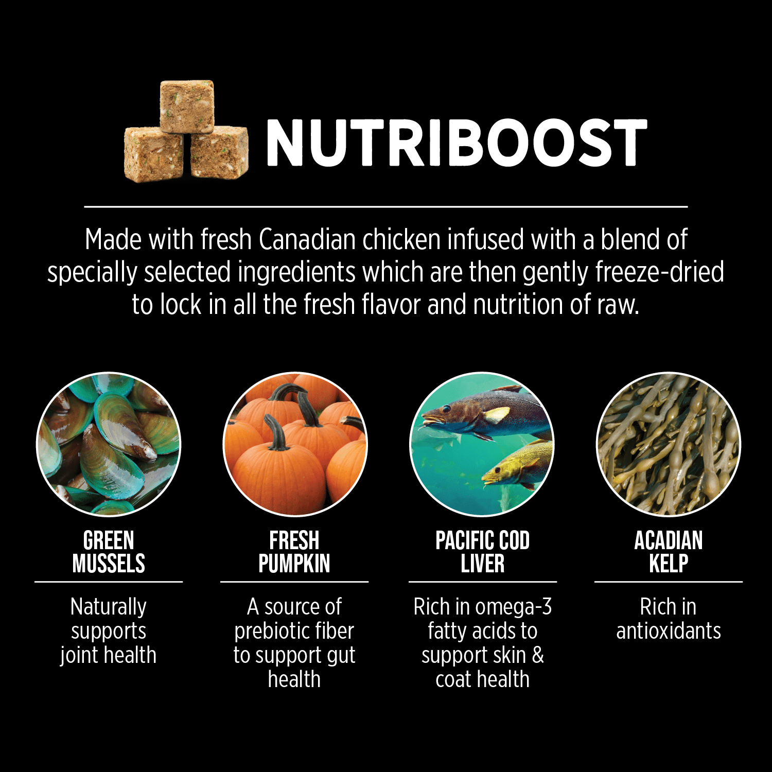 Nutrience SubZero Fraser Valley Large Breed Dry Dog Food - 10kg (22 lbs) High Protein Grain-Free Recipe for Adult Dogs - Ideal for Active & Outdoor Lifestyles
