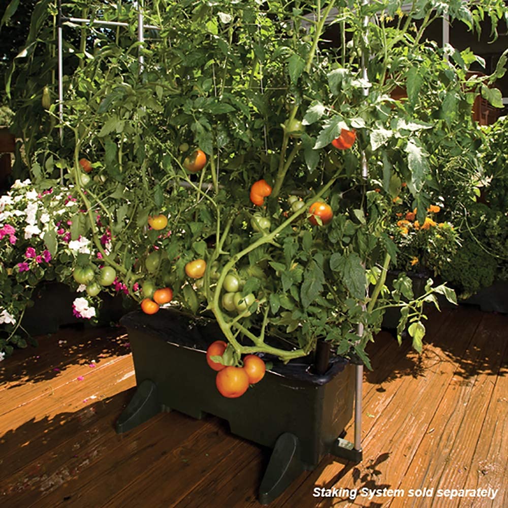 Earthbox Garden Kit - Green (Pack of 2, Standard Size) | Self-Watering Planter Box for Vegetables, Herbs & Flowers | Perfect for Patio, Balcony & Indoor Gardening