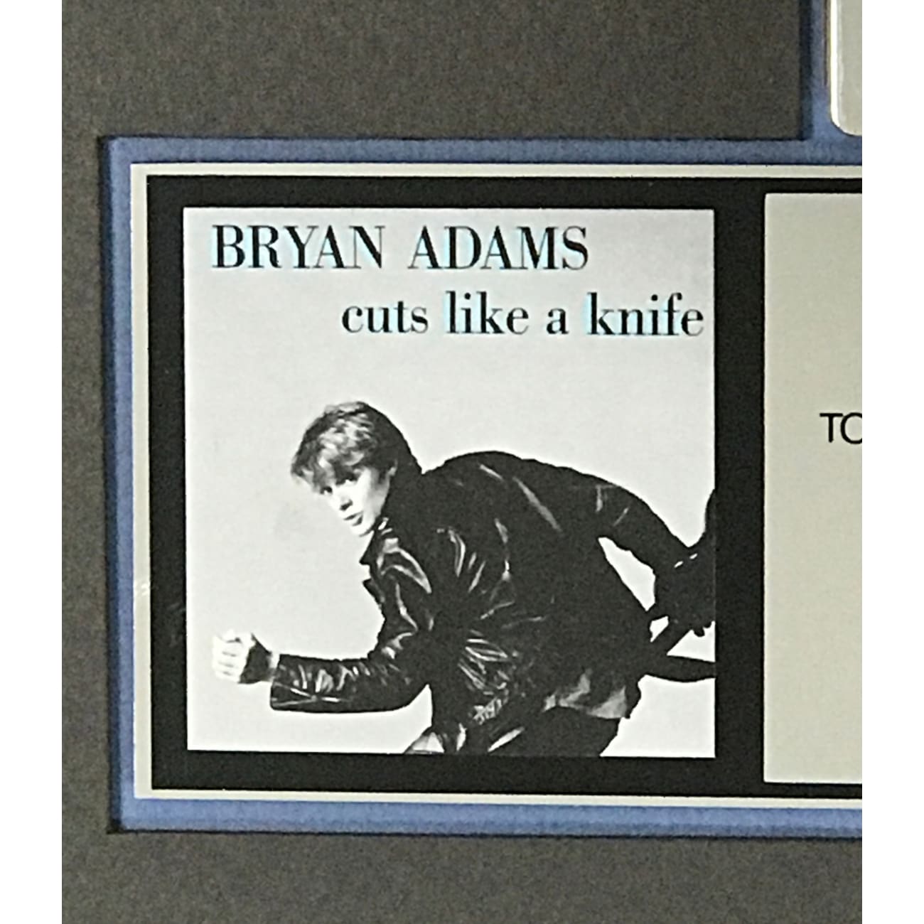 Bryan Adams 'Cuts Like A Knife' RIAA Certified Platinum Album Award - Perfect for Music Collectors, Memorabilia Displays & Rock Fan Gifts