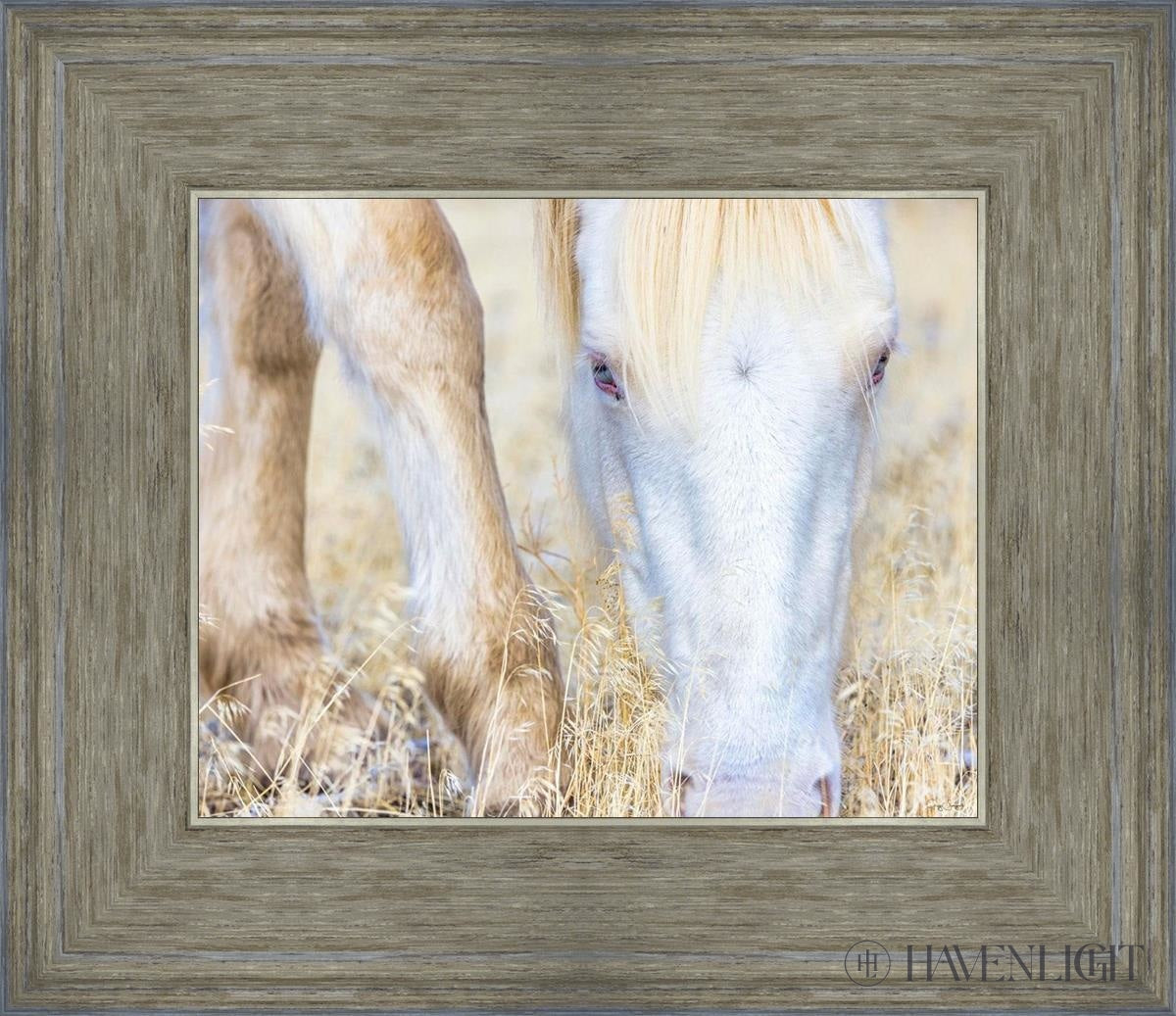 Dry Grass by Greg Sargent - Premium Handcrafted Home Decor for Rustic & Farmhouse Style - Perfect for Wall Art, Shelf Displays & Cozy Living Room Decor