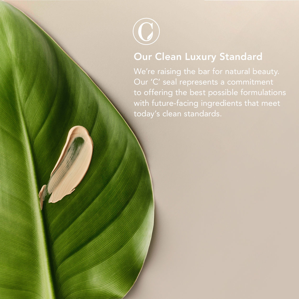 Chantecaille Brilliant Gloss - Luxurious Lip Gloss for Hydration & Shine | Perfect for Everyday Wear & Special Occasions