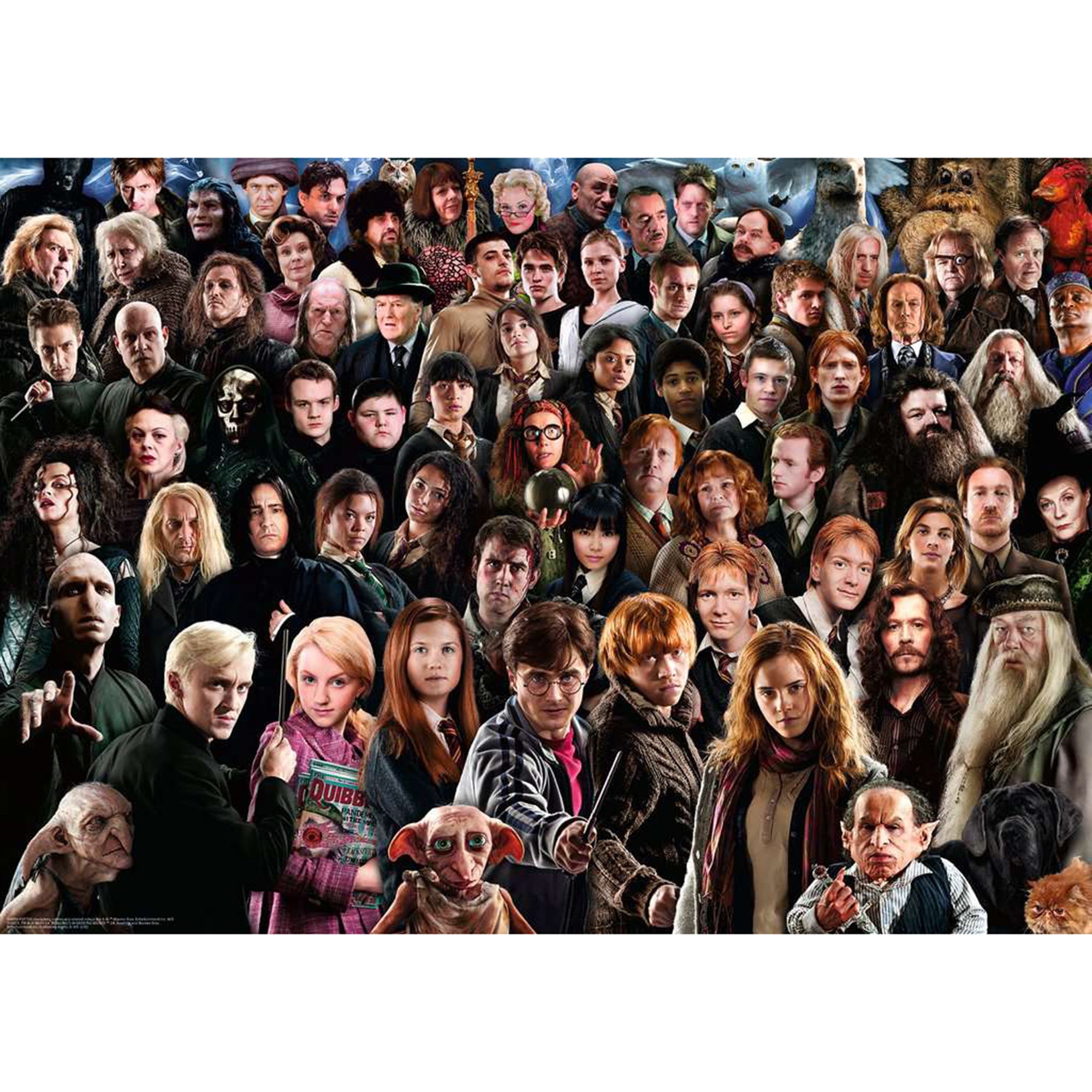 1000 Piece Harry Potter Puzzle - Challenging Jigsaw for Adults & Teens - Perfect for Family Game Nights & Relaxation