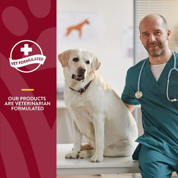 NaturVet Bladder Support Plus Cranberry Soft Chews for Dogs - Urinary Tract Health Supplement for Small & Large Breeds - Supports Healthy Bladder Function at Home or Travel