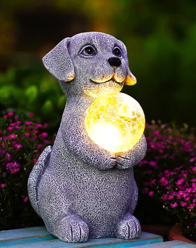 Gray Dog
