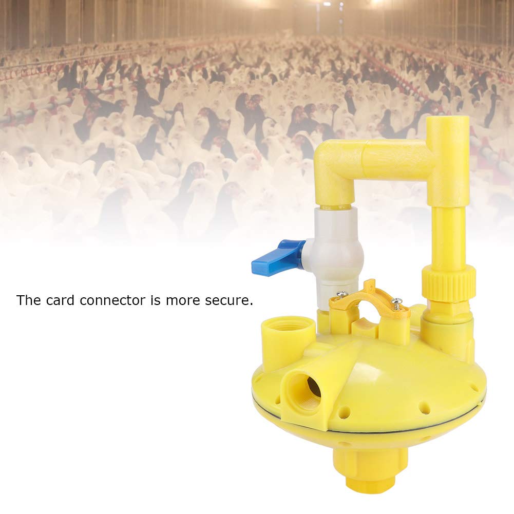 Secure Water Line Regulator with Pressure Reducing Valve for Outdoor Farmed Chicken Coops and Poultry Watering Systems