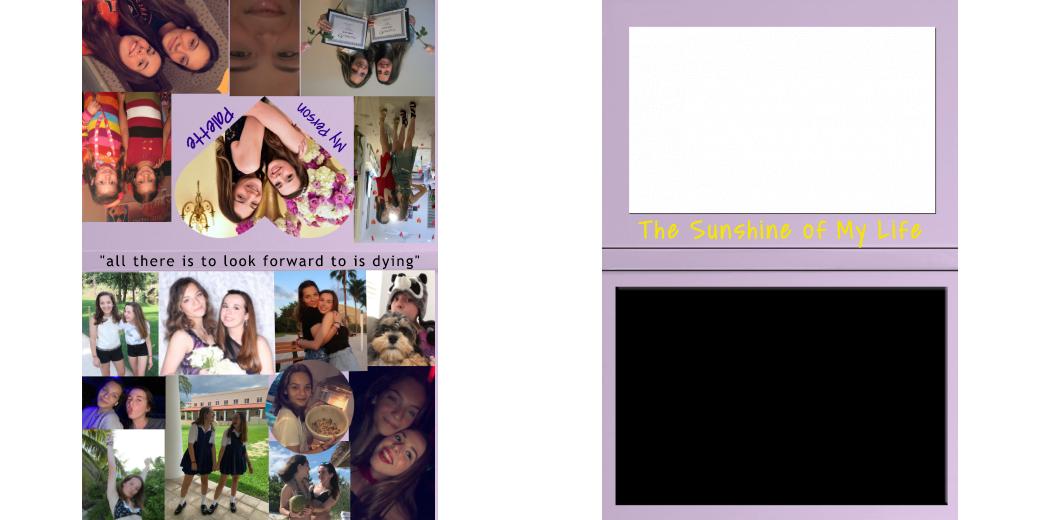 Custom Junior Z Palette - Magnetic Makeup Palette for Eyeshadows & Blush - Perfect for Travel & Professional Makeup Artists