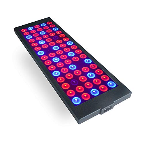YINSY 40W Full Spectrum LED Grow Light with IR & UV - Hydroponic Indoor Plant Light for Veg & Flowering | AC85-265V | Perfect for Home Gardening, Greenhouse & Indoor Plant Growth