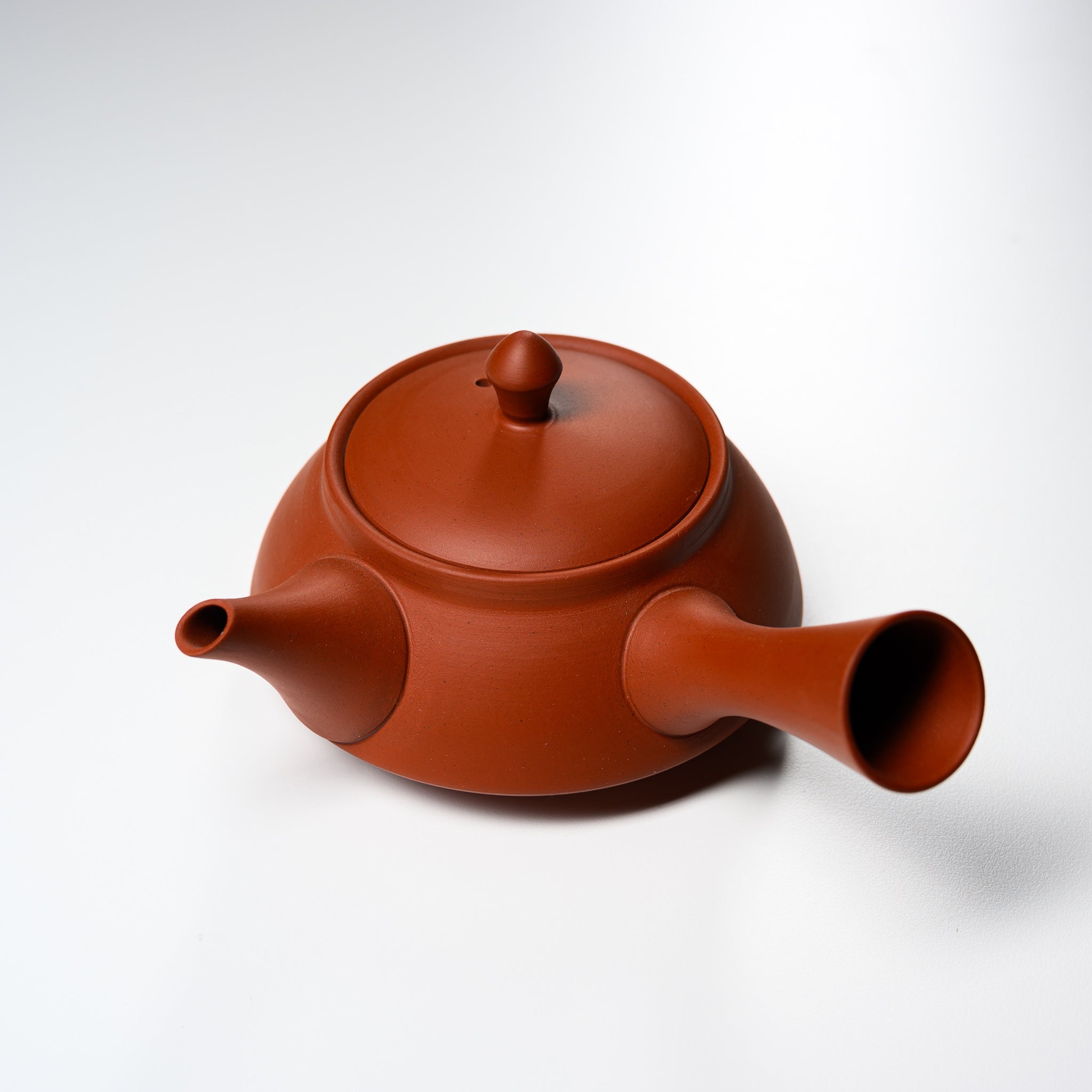 Premium JINSUI Tokoname Ware Red Clay Teapot - 300ml Traditional Japanese Kyusu for Green Tea, Perfect for Tea Ceremonies & Daily Brewing