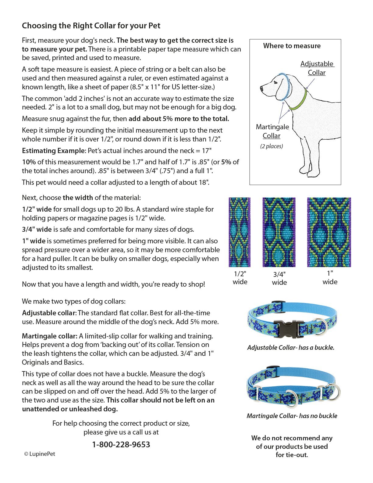 Lupine ECO Collection Large Dog Collar - 3/4