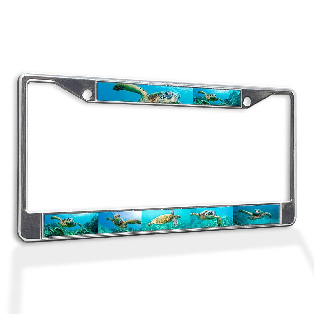 Premium Metal Insert License Plate Frame - Hawksbill Sea Turtle Underwater Design | Weatherproof Chrome Car Accessory with 2 Solid Holes | Perfect for Beach Lovers & Marine Life Enthusiasts
