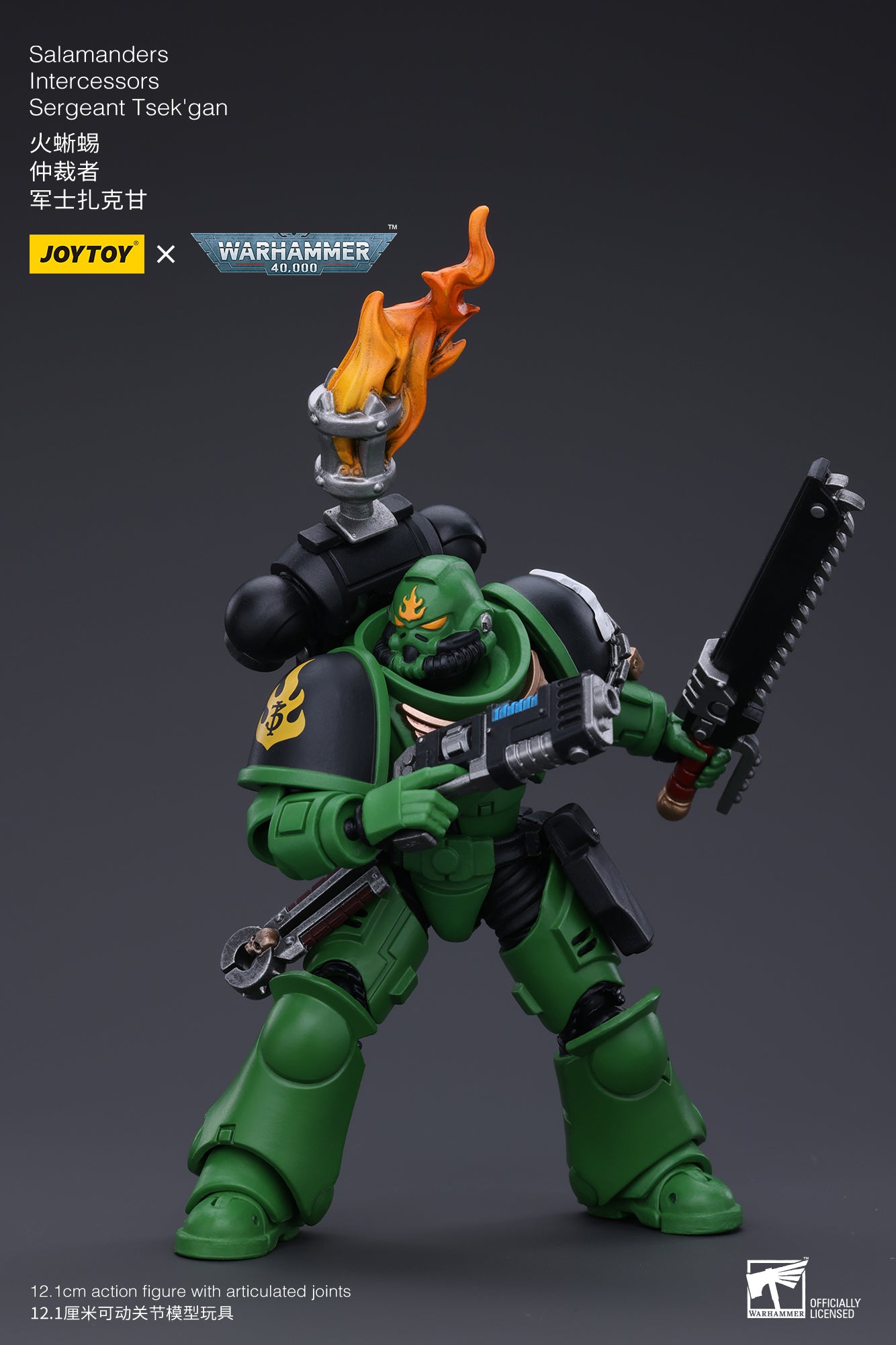 JOYTOY 3.75 Inch Warhammer 40K Salamanders Intercessors Sergeant Tsek'gan Action Figure - 1/18 Scale Collectible Model for Display & Gaming (Reissue Version) | Perfect for Warhammer Fans, Tabletop Battles & Sci-Fi Collectors