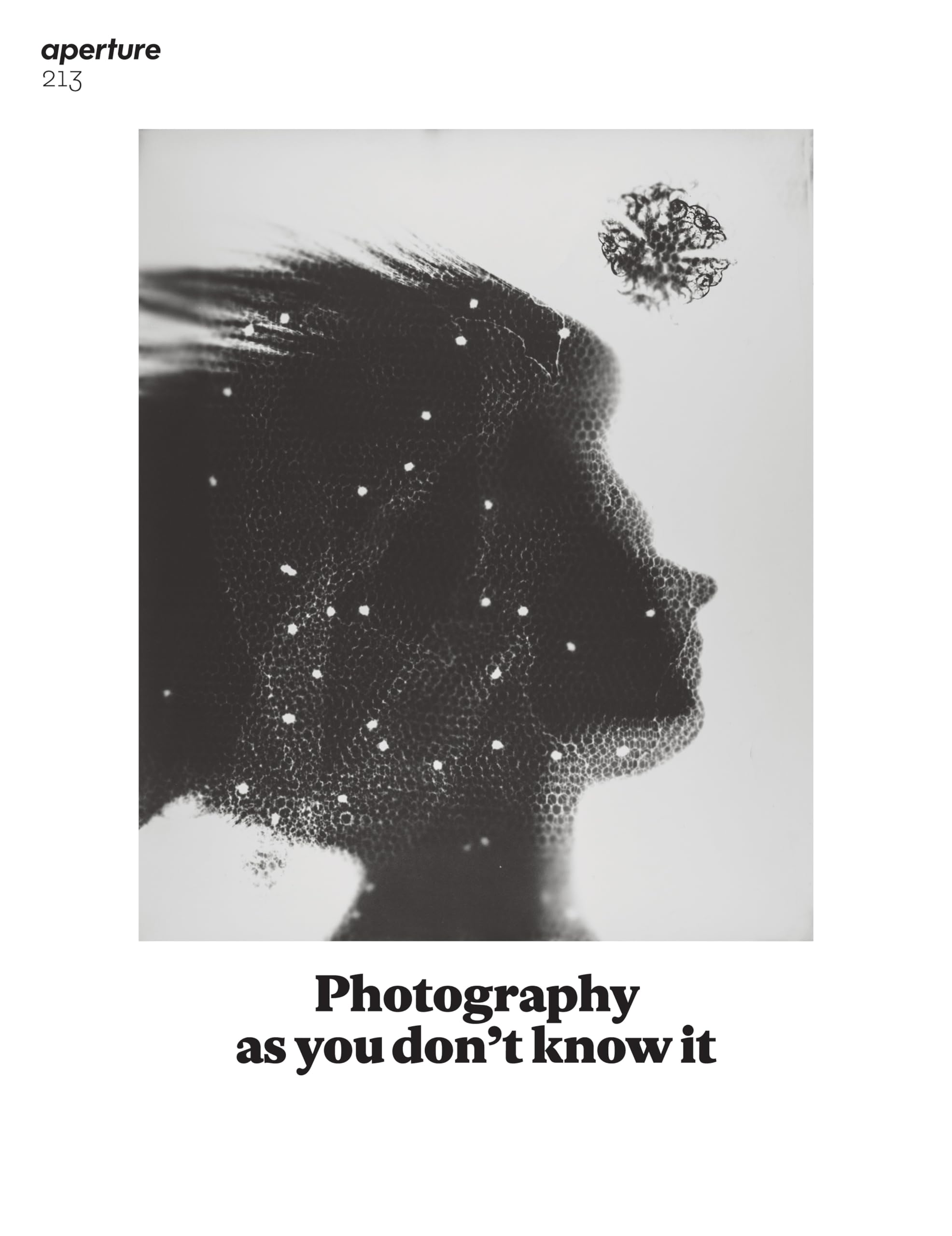 Aperture 213 Photography Magazine - Explore Unique Perspectives & Artistic Vision | Perfect for Photographers & Art Enthusiasts