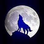 Full Moon Wolf