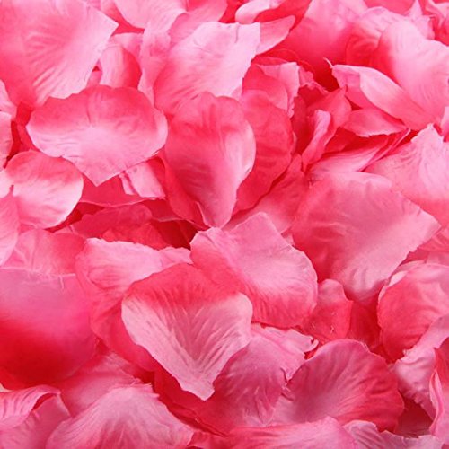 1000pcs Hot Pink Silk Rose Petals - Bulk Artificial Fake Flowers for Wedding Decor, Party Favors, Home Decoration | Perfect for Centerpieces, Aisle Scattering & Table Decorations