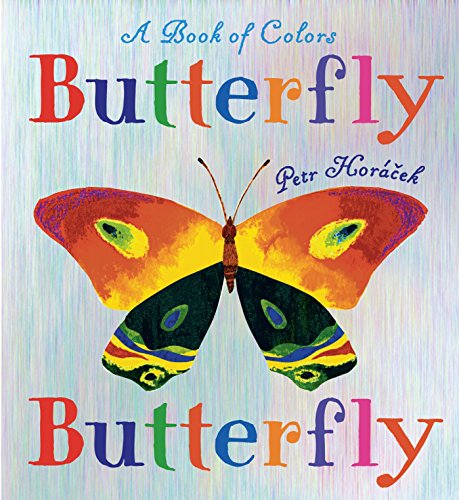 Butterfly Butterfly: A Book of Colors - Learn Colors with Beautiful Butterflies | Perfect for Toddlers & Preschool Education
