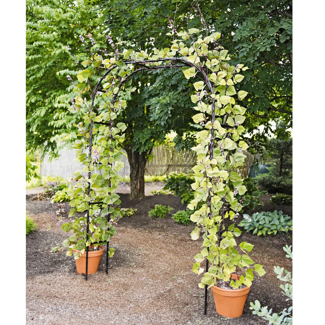 Sturdy Titan Arch Arbor Garden Trellis for Climbing Plants, Vines & Flowers - 96